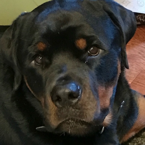 Meet your Posher, Christine - Picture 2 of 7